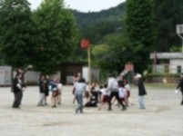 383-s-1.jpg